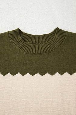 Brown Colorblock Crew Neck Drop Shoulder Sweater