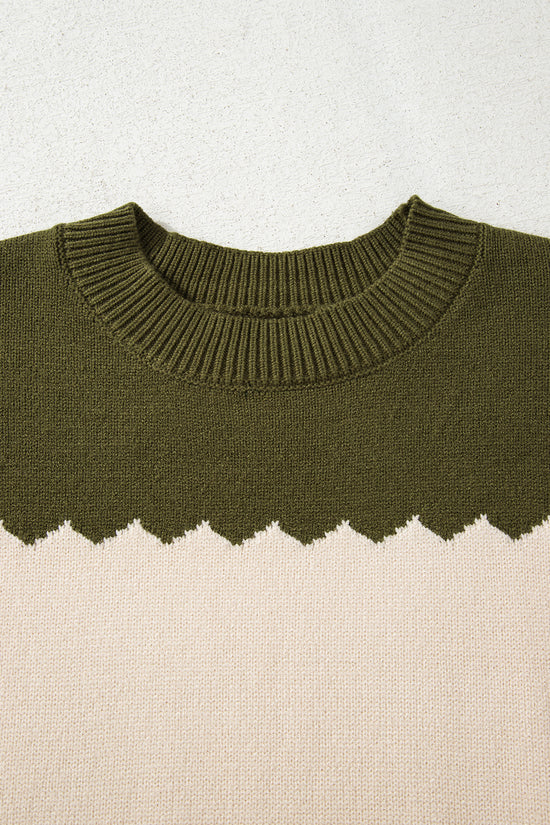 Brown Colorblock Crew Neck Drop Shoulder Sweater
