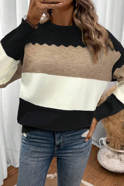 Brown Colorblock Crew Neck Drop Shoulder Sweater