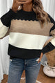 Brown Colorblock Crew Neck Drop Shoulder Sweater
