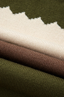 Brown Colorblock Crew Neck Drop Shoulder Sweater