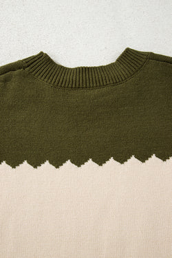 Brown Colorblock Crew Neck Drop Shoulder Sweater