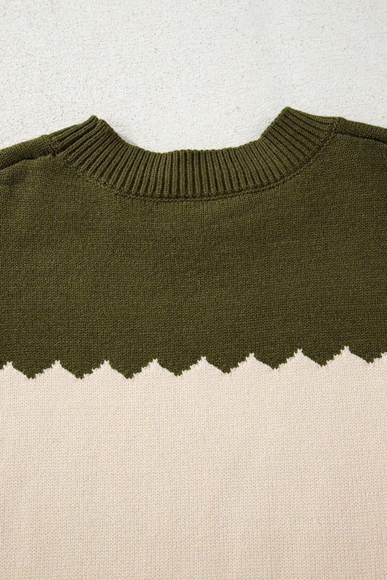 Brown Colorblock Crew Neck Drop Shoulder Sweater
