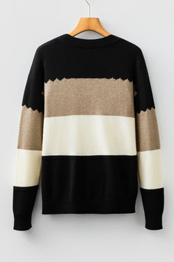 Brown Colorblock Crew Neck Drop Shoulder Sweater