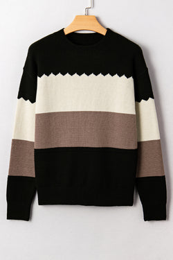 Brown Colorblock Crew Neck Drop Shoulder Sweater
