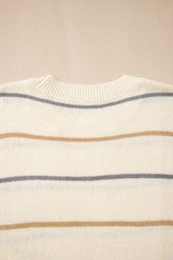 Multicolour Striped Print Drop Shoulder Shift Sweater Mini Dress