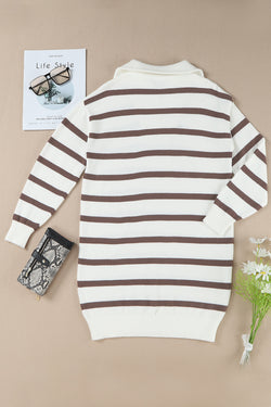 Brown Striped O-ring Zip Collared Loose Sweater Mini Dress