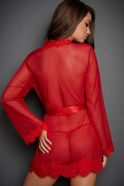 Transparent Lace Robe With Sashes Babydoll
