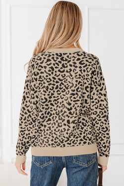 Khaki Leopard Drop SCOLA CHUNNOTTO CHUNTHETTO CARDITER MIGLIO